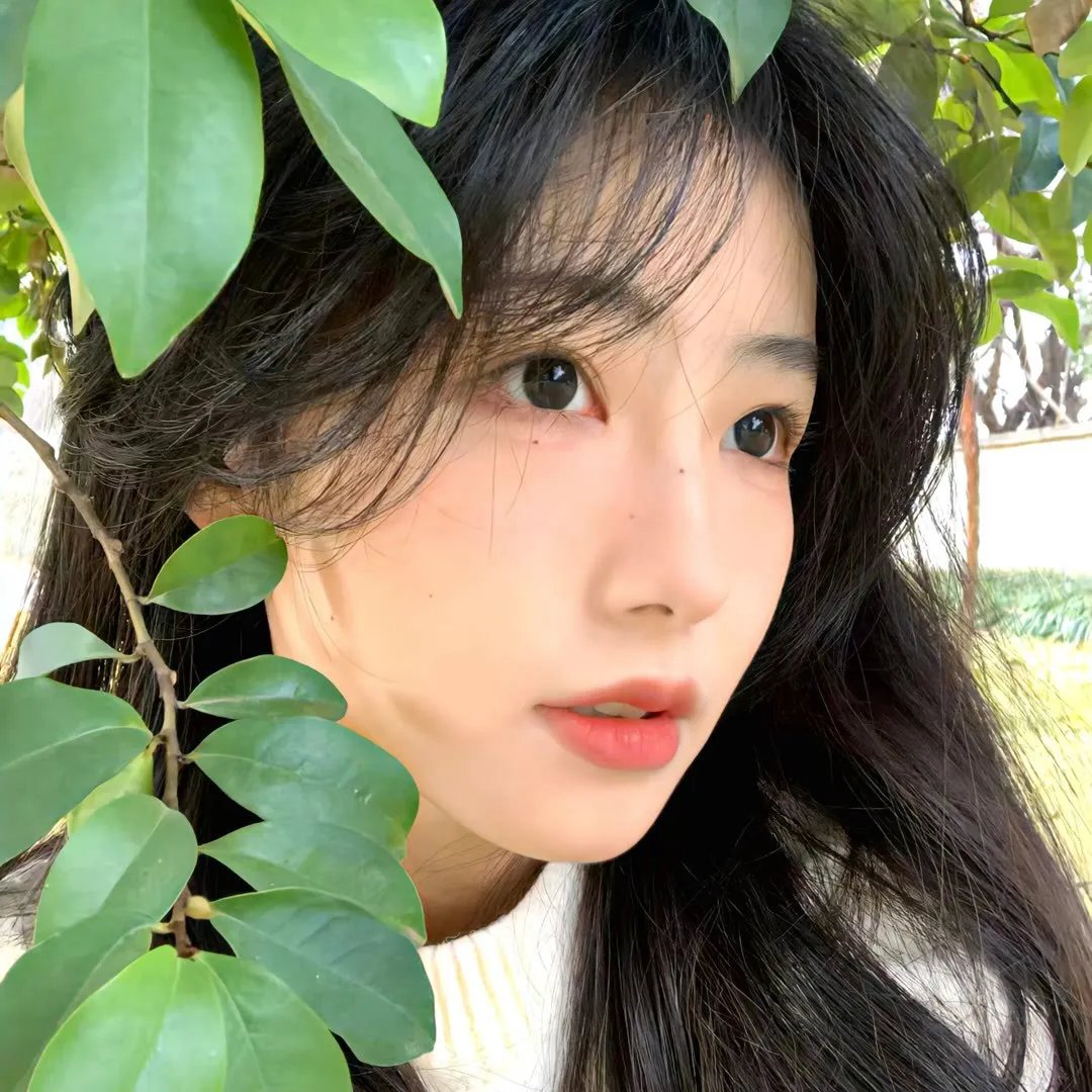 星梦泪痕